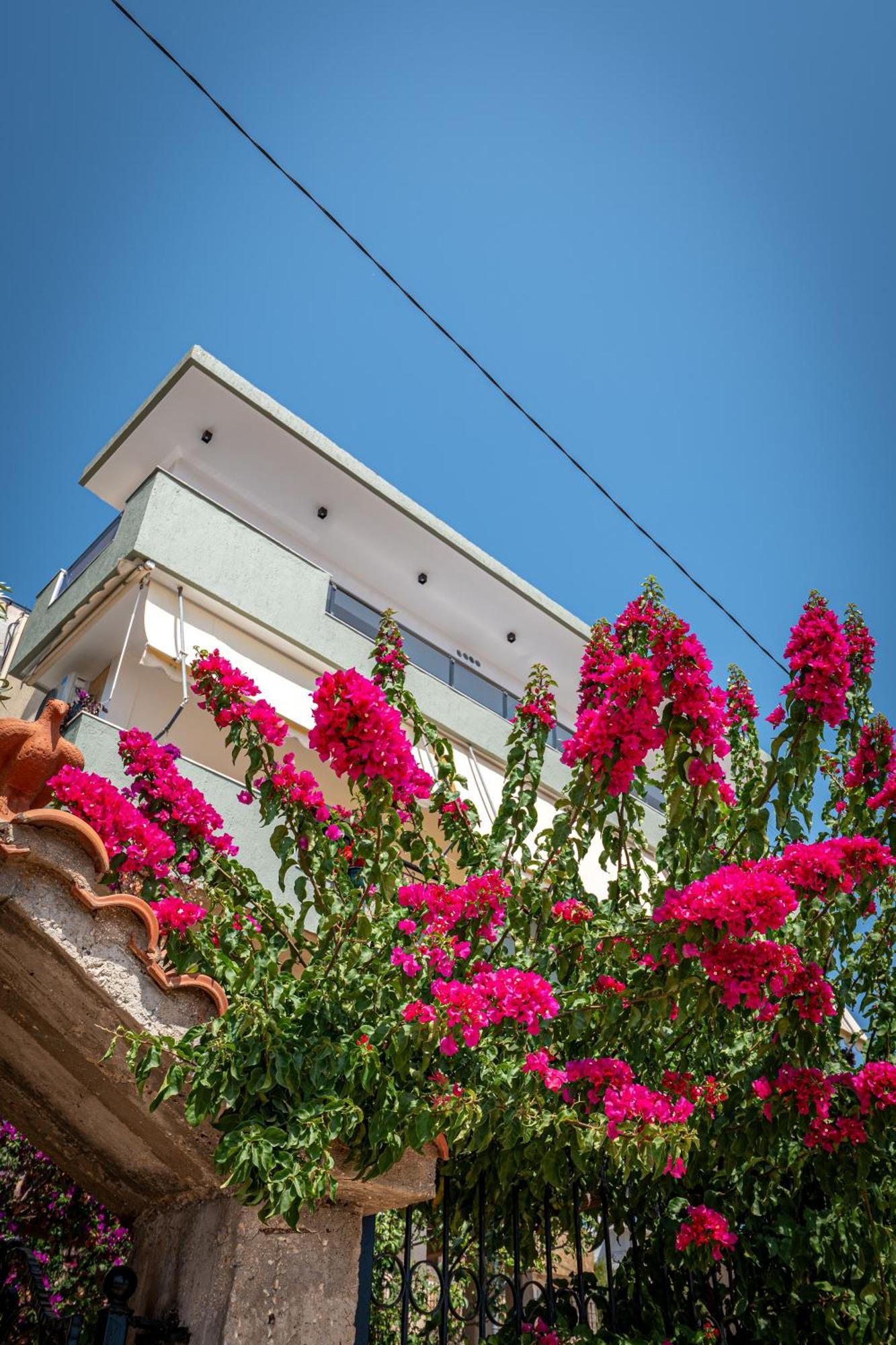 Euphoria Apartments Sarandë エクステリア 写真